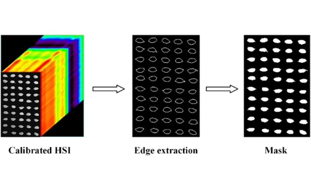 顛覆傳統(tǒng)！高光譜成像+深度森林模型，精準(zhǔn)識(shí)別凍害水稻種子