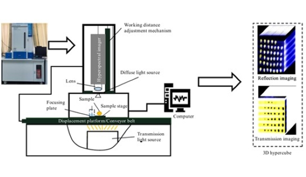 基于高光譜反射和透射成像技術(shù)的南瓜籽含水量檢測(cè)和尺寸測(cè)量