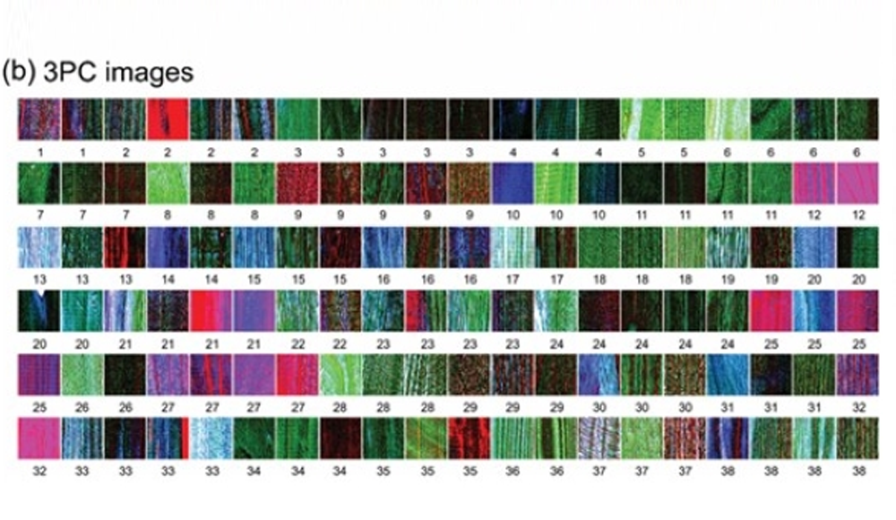高光譜成像技術(shù)在木材檢測中的應(yīng)用（上）
