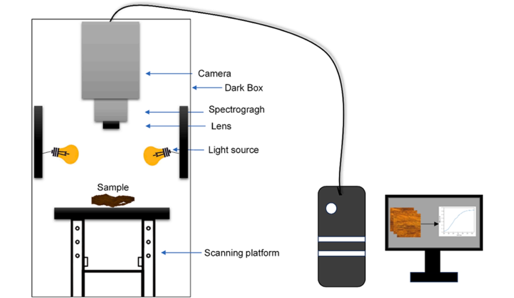 基于高光譜成像與卷積神經(jīng)網(wǎng)絡(luò)的折疊式烤煙分類方法