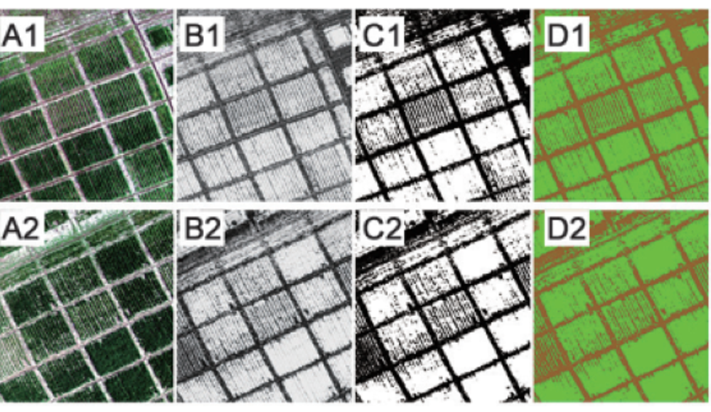 小麥監(jiān)測再升級：機載高光譜系統(tǒng)與機器學(xué)習(xí)算法結(jié)合實踐
