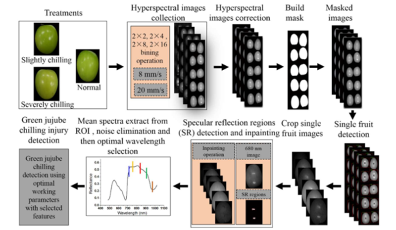 高光譜成像技術(shù)在紅棗研究中的應(yīng)用進(jìn)展（上）