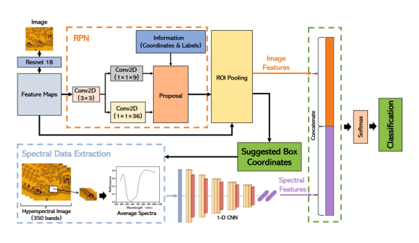 顯微高光譜新應(yīng)用：生物醫(yī)學(xué)領(lǐng)域 - 基于Faster RCNN白細(xì)胞快速檢測