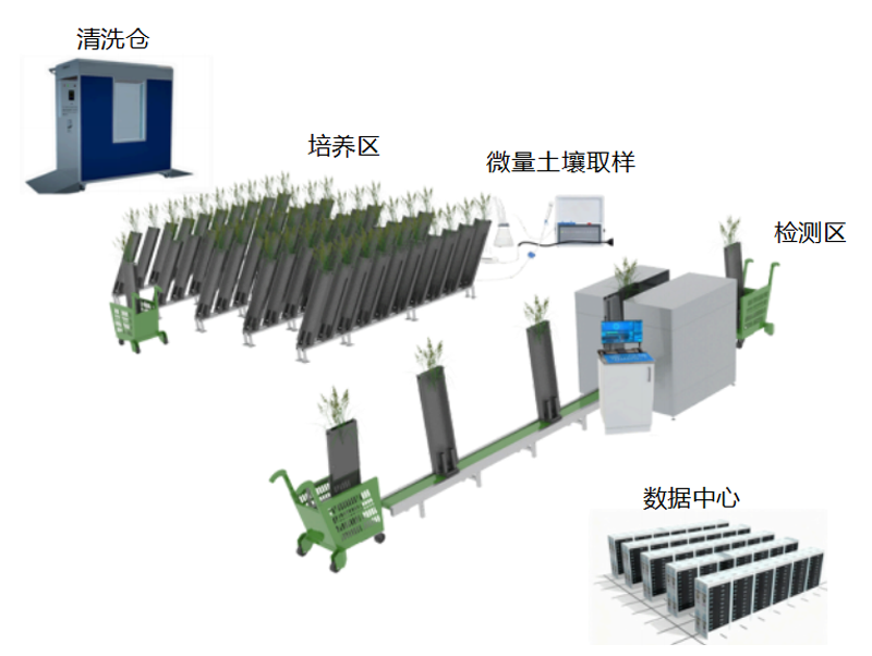 ROOTQUANT-SCAN 植物根系表型成像檢測(cè)系統(tǒng)
